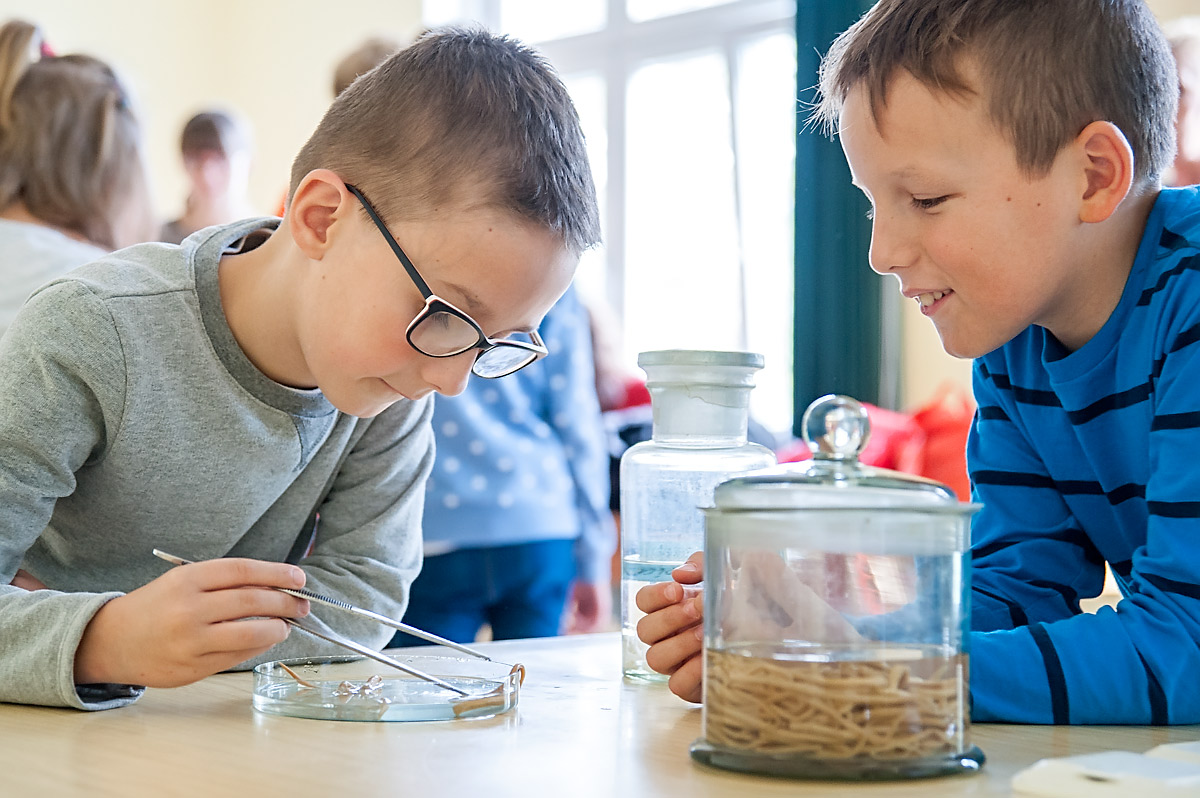 Dolnośląski Festiwal Nauki_Zakład Biologii i Parazytologii 2