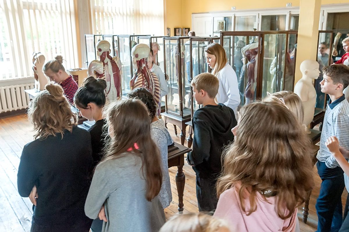 Muzeum Anatomii_DFN_1