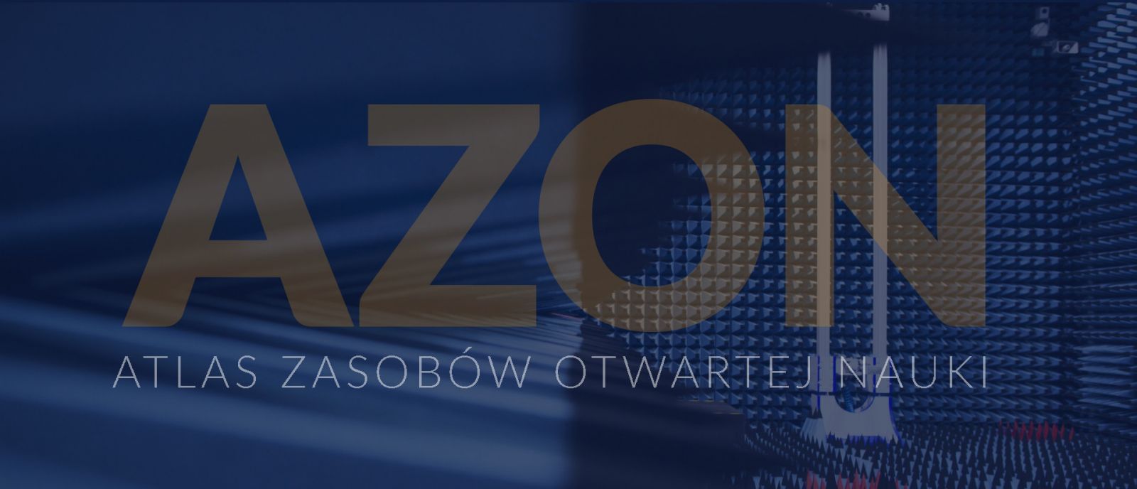 LOGO AZON