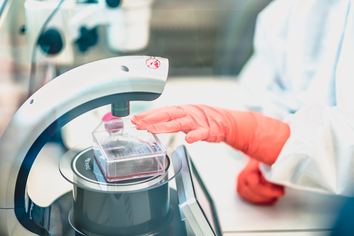 Laboratorium umedwroc