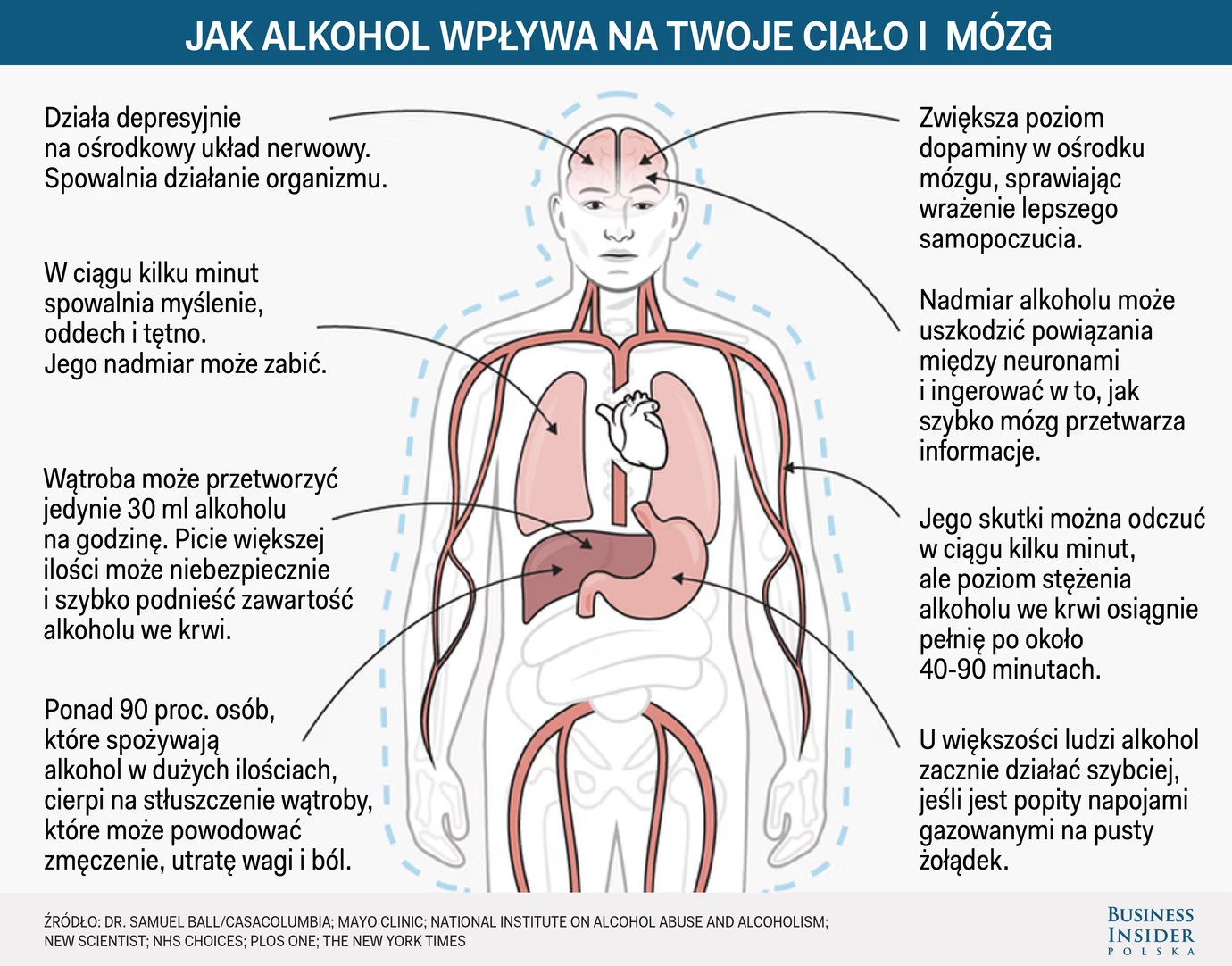 wpływ alkoholu na człowieka