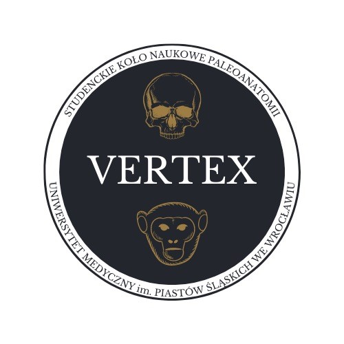 Logo SKN VERTEX