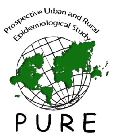 logo projektu PURE