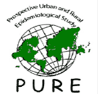 logo projektu PURE