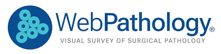 WEB Pathology