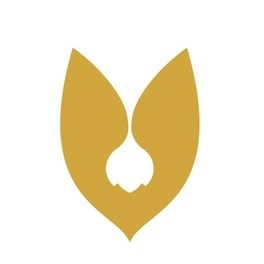 logo_mf.jpg