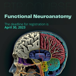 Functional Neuroanatomy