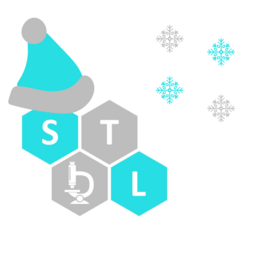 STDL mikołaj.png