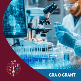 gra o grant kwadrat_20241115.png