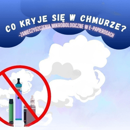 co się kryje w chmurze.png
