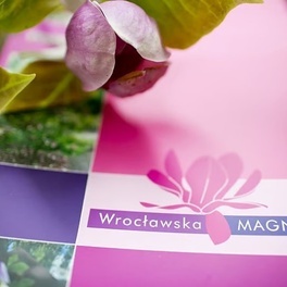 wroclawska-magnolia.jpg
