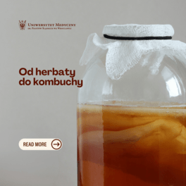 od herbaty do kombuchy kwadrat pl.png