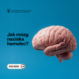 jak mozg naciska hamulec kwadrat pl.png