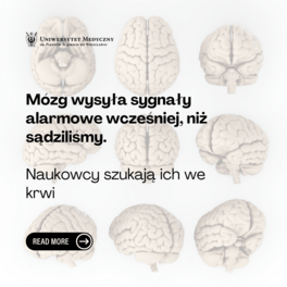 sygnaly mozgu kwadrat pl.png