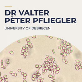 VP-PFLIEGLER_wydarzenie.png