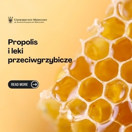 propolis kwadrat pl.jpg