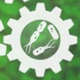 82494419_112530150289484_2656653292251119616_n.jpg