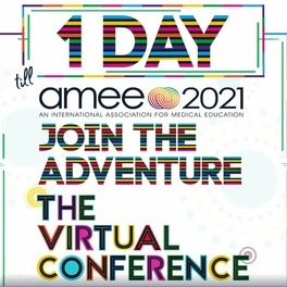 AMEE Virtual Conference 2021.JPG