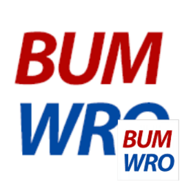 BUM LOGO FB.png