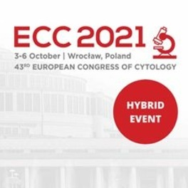 ECC2021_ikona.jpg