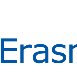 EU flag-Erasmus+_vect_POS.png