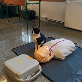 Spójrzcie, kto przyszedł na zajęcia z udzielania p...