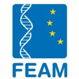 feam mini.jpg