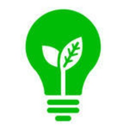 green-light-bulb.jpeg