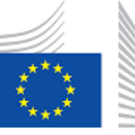 h2020 niepelne logo.png