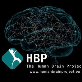 human-brain-project.jpg