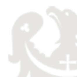 ikonka_domyslna.png