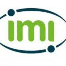 imi.jpg