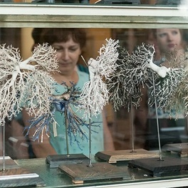 muzeum anatomii ikona.jpg