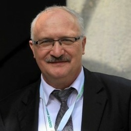 prof. Simon.jpg