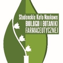 sknbibf.jpg