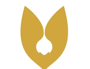 logo_mf.jpg