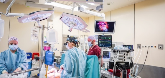 200 transplantacja serca w USK we Wrocławiu fot Małgorzata Sagan (4).jpeg