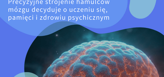 PM grudzień kwadrat pl.png