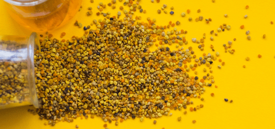 PUB. MIES. WWW KWADRAT.png