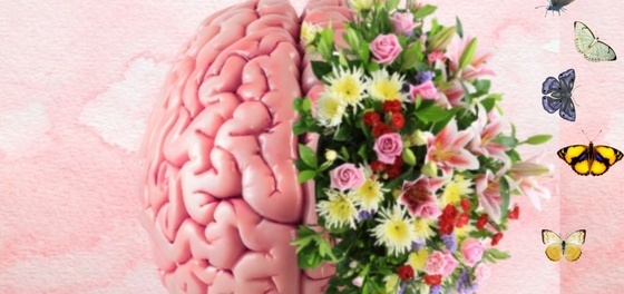 Aktualności UTW (2).jpg