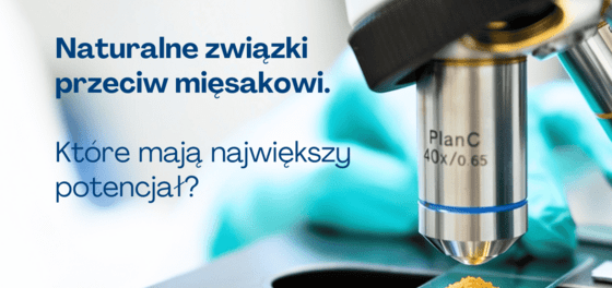 miesak kwadrat pl.png