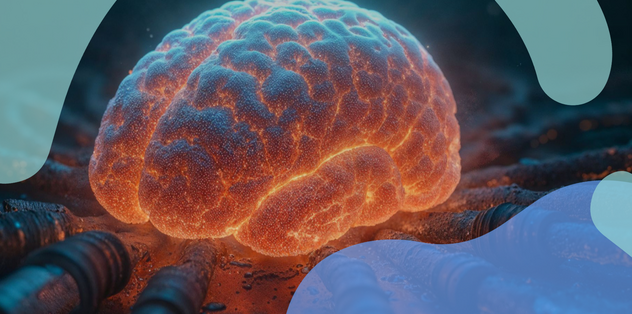 WWW PL SLIDER (1).png