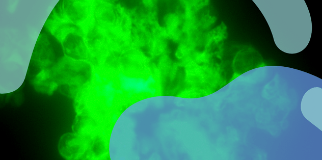 PUB MIES KWIECIEN SLIDER.png