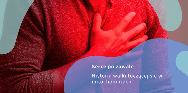 pub mies marzec 2026 slider.png