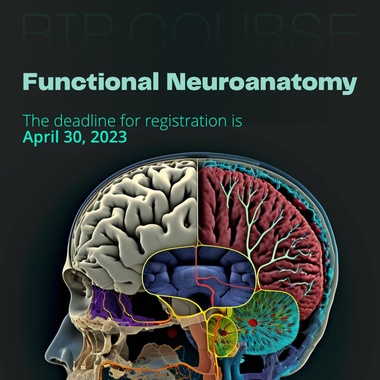 Functional Neuroanatomy