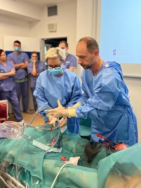 ecmo 5.jpg