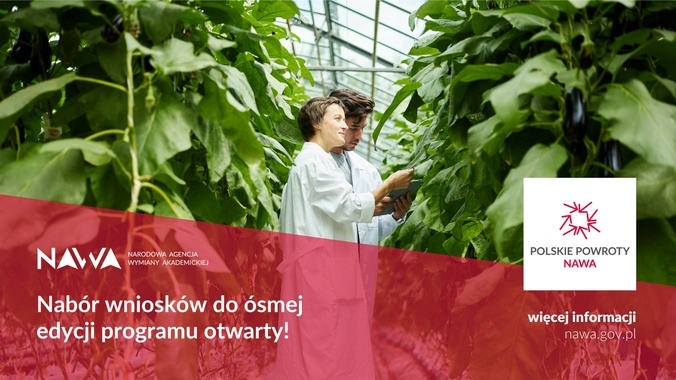polskie powroty.jpg