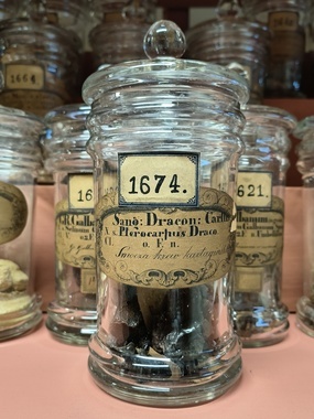 467752700_1151099193685273_6010431009824253340_n.jpg