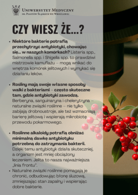 alkaloidy czy wiesz ze.png