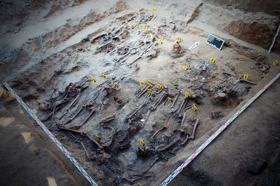 103-79554.jpg